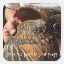 Suche nach piep aufkleber Huhn