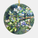 Suche nach blaubeere ornamente Heidelbeeren