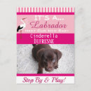 Suche nach lustige katzen und hunde postkarten Haustiere