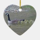 Suche nach gans ornamente Vögel