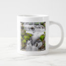 Suche nach moose tassen Nationalpark