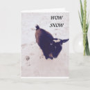 Suche nach babyziege karten Fotografie