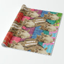 Suche nach katzen packpapier geschenkpapier Jede person