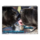 Suche nach bear kalender Bär