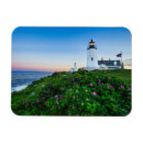 Suche nach bristol magnete Felsenküste