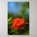 Suche nach wiedergeburt poster Blau