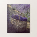 Suche nach lavendel blume puzzle Sommer