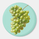 Suche nach trauben magnete Orange