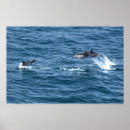 Suche nach delphine poster Spaß