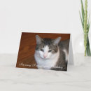 Suche nach tut mir leid karten Katzen