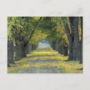 Suche nach usa farben postkarten Verlass