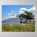 Suche nach sambia poster Reise