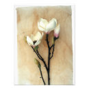 Suche nach magnolien poster Für alle