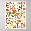 Suche nach unter boden poster Botanisch