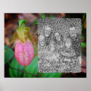 Suche nach orchid poster Für sie
