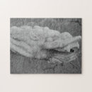 Suche nach schwarzer drache puzzle Jede person
