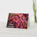 Suche nach chrysanthemen karten Blume