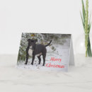 Suche nach bullterrier karten Weihnachten