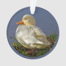 Suche nach weiße ente ornamente Vögel