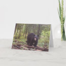 Suche nach schwarzer bär karten Jede person