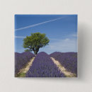 Suche nach provence buttons Lavendel