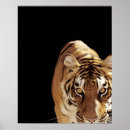 Suche nach schwarze panther poster Tiere
