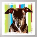 Suche nach italienischer windhund poster Igie
