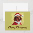 Suche nach dackel spaß postkarten Weihnachten