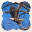 Suche nach flug untersetzer Jede person