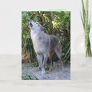 Suche nach wölfe karten Geburtskarte des wolfes