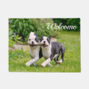 Suche nach boston garten outdoor Hund