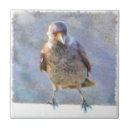 Suche nach schwarze krähe fliesen Gothic