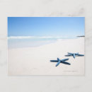 Suche nach seesterne postkarten Strand