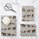 Suche nach südamerika geschenkpapier Capybara