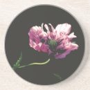 Suche nach mohn untersetzer Jede person