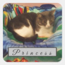 Suche nach hauskatze aufkleber Kitty