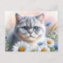 Suche nach porträt postkarten Katze
