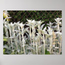 Suche nach lamm poster Jede person