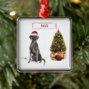 Suche nach black lab ornamente Weihnachten