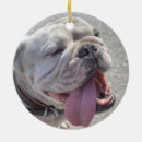 Suche nach komisch ornamente Hund
