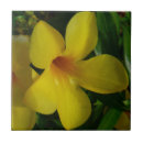 Suche nach trompete fliesen Foto