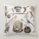 Suche nach von den armen kissen Amerikanisch