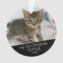 Suche nach weihnachtskatze ornamente Katzen