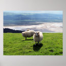 Suche nach mutterschaf poster Ländlich