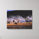 Suche nach yellowstone nationalpark leinwandbilder Bison