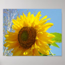 Suche nach realismus poster Sonnenblumen