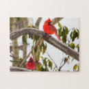 Suche nach kardinal puzzle Vögel