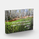 Suche nach wald fototafeln Jede person