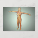 Suche nach nervensystem postkarten Anatomie