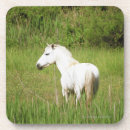 Suche nach pferdebilder untersetzer Bilder der pferde